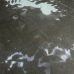 http://32.23.32.lightizm.com/files/gimgs/th-76_71_Nostalgia1_v2.jpg