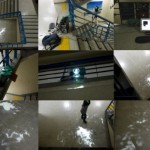 http://32.23.32.lightizm.com/files/gimgs/th-76_71_Nostalgia4_v2.jpg